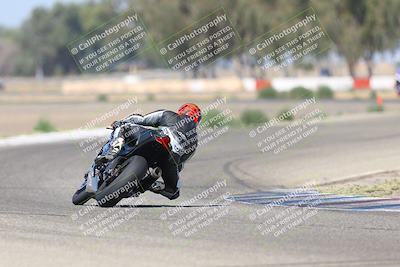 media/Sep-07-2025-Pacific Track Time (Sun) [[a6322260b9]]/A and B Group/Wheelie Bump A and B/